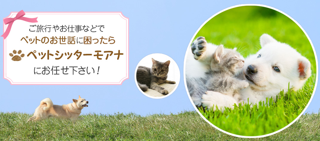 ペットのお世話に困ったら ペットシッターモアナ